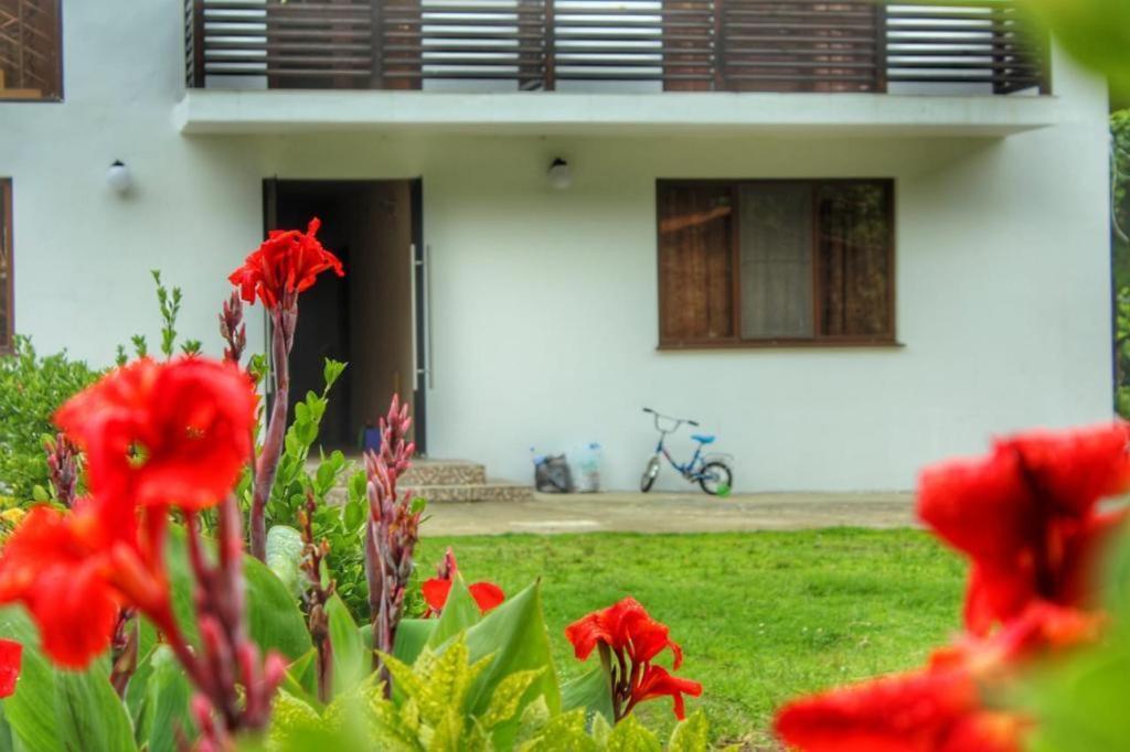 Guest House Sirius Pizunda Luaran gambar